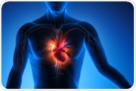 First-responder cells launching the repair after heart attack promote inflammation overdrive