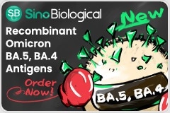 Recombinant Omicron BA.5, BA.4 Antigens