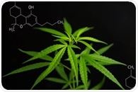 Researchers analyze how cannabis cells make cannabinoids