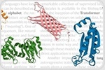 Computer-based natural language processing model generates de novo protein sequences in a high-throughput fashion
