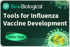 A Collection of Tools for Influenza Vaccine Development
