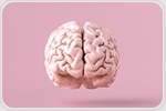 Scientists develop new tool to monitor brain plasticity