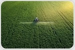 Excess Fertilizer Use and Soil Health