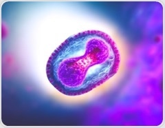 Discovery of a potential new target for new MPOX or broad pox vaccines