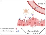 Autoantibodies: powerful biomarkers in cancer precision medicine