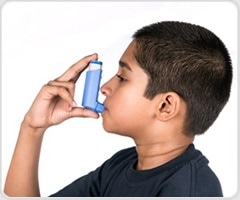 Bitter taste receptors are a potential target for treating asthma or COPD
