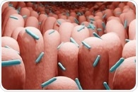How Does Your Diet Affect your Gut Microbiome?
