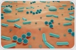 Insight into the Skin Microbiome