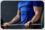 How does the gut microbiome affect muscle strength?