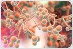 The role of the fungal mycobiome in women's health