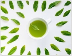 Green tea holds potential as treatment for uterine fibroids, PCOS, and menopausal symptoms