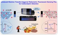 New Sensing System for Ratiometric Fluorescence Quantitation of Carbendazim