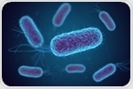 Role of Engineered E. coli in Sending Therapeutic Nanobodies to the Gut