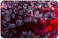 Can grape pomace be used as a cardiometabolic health-promoting ingredient?