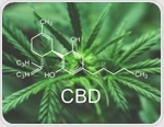 Does oral exposure to cannabidiol (CBD) have toxic implications?