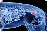 New Genetic Mutations Linked to Canine Bladder Cancers Identified