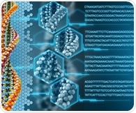 Researchers pioneer a new method for fast miRNA amplification and detection