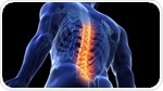 Immune system’s ability to respond to spinal cord injuries reduces with age, research suggests