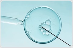Artificial intelligence in sperm selection for assisted reproduction