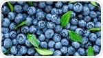 Berry beneficial: Blueberry consumption alleviates abdominal pain in gastrointestinal disorders