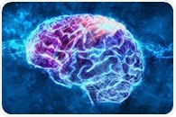 Cytoelectric Coupling hypothesis: Fluctuating electric fields shape the brain’s molecular infrastructure