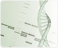 Researchers produce a multi-scale map of protein assemblies in the DNA damage response