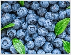 Precision nutrition and the gut microbiome: the impact of blueberries