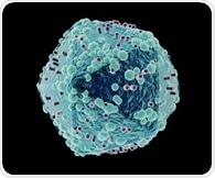 Nonhuman primate study helps explain how stem cell transplantation can kill HIV virus