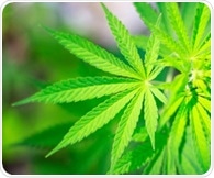 $11.6 million NIDA grant supports the study of cannabis effects on HIV-infected brains