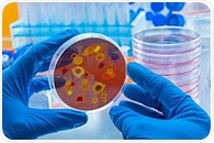Study reveals CMPK-2 protein-coding gene as a potent inhibitor of flaviviruses