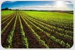 Precision Agriculture: Challenges and Future Outlook