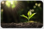 Engineering Plants for Resilience to Climate Change