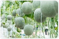 What is 'Closed Loop' Agriculture?