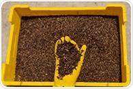 Insect Farming, the New Approach to Agritech Sustainability