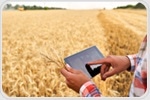 Smart Agrochemical Delivery Platform Shows Promise for Precision Agriculture