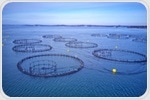 Smart Seas: Revolutionizing Aquaculture with AIoT and Digital Twin-Based Intelligent Fish Farming