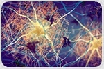 Slowing down Alzheimer’s with Specialized T Cells