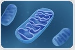 Mitochondrial protein structure activates cell's integrated stress response