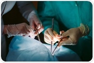 Man-made antibody successfully prevents organ rejection after transplantation