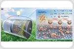 Revolutionizing Energy Storage: Metal Nanoclusters for Stable Lithium–Sulfur Batteries