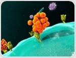 CAR-NK: The next generation in hematological malignancy treatment