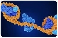 Cannabis use alters DNA methylation, with implications beyond smoking effects