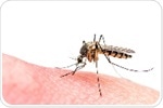 Immunogenicity of insect-specific Zika virus-vectorized vaccine candidates