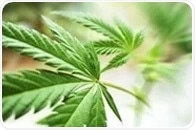 Genome study unveils genetic ties between cannabis use disorder and lung cancer risk