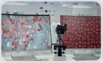 GraphNovo, A ML Platform to Analyze Unfamiliar Cell Composition