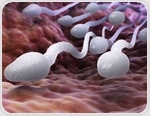 New study provides convincing evidence of the essential role of cylicins in sperm development and fertility
