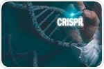 CRISPR-Cas9: Shaping the Future of Targeted Drug Development