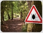 Study exposes racial disparities in Lyme disease diagnosis and treatment times