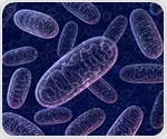 Gut Mitochondria Hold the Key to Balanced Fat Metabolism