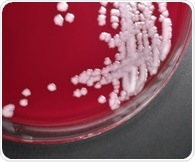 Common inflammation pathway turns anthrax toxin into killer
